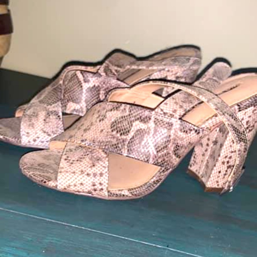 Snake skin chuck heel size 6